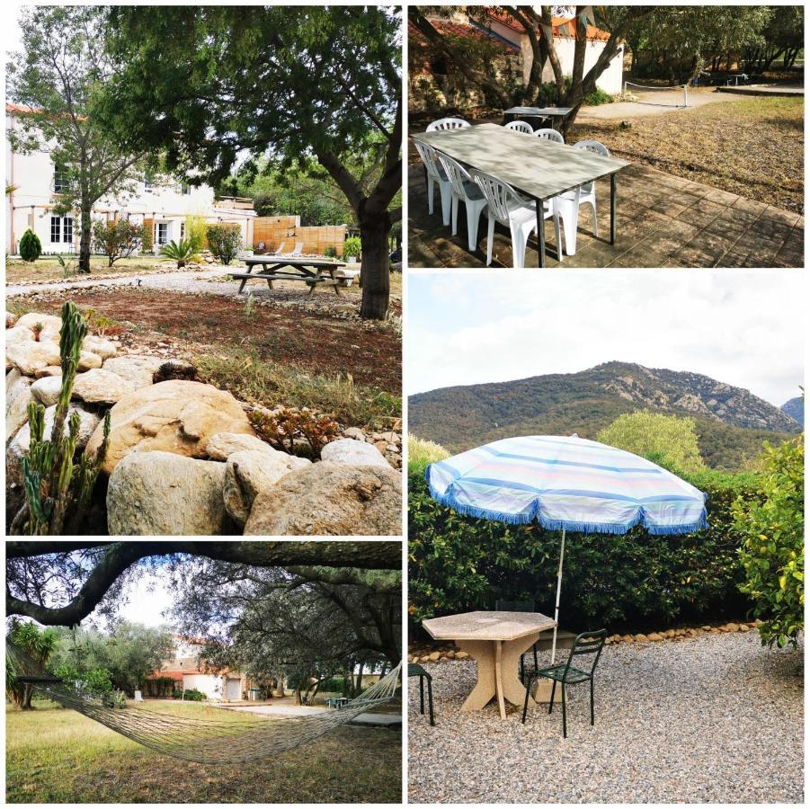 Mas Paret Studio Plein Sud - Parc 1 Ha Au Calme 滨海阿热莱斯 外观 照片